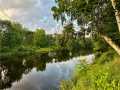 Holcombe Land Real Estate