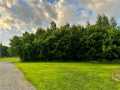 Holcombe Land Real Estate