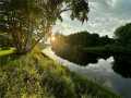 Holcombe Land Real Estate