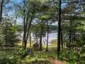 Webster Residential Real Estate