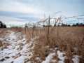 Eau Claire Residential Real Estate