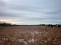 Eau Claire Residential Real Estate