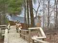Chippewa Falls Residential Real Estate