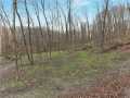 Boyceville Residential Real Estate