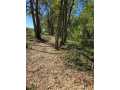 Chippewa Falls Land Real Estate