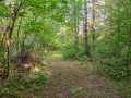 Chippewa Falls Land Real Estate