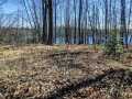 Chetek Land Real Estate