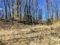 Chetek Land Real Estate