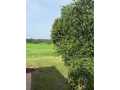 Cumberland Residential Real Estate