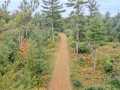 Grantsburg Residential Real Estate