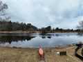 Chippewa Falls Residential Real Estate