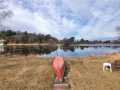 Chippewa Falls Residential Real Estate