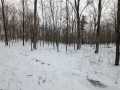 Rice Lake Residential Real Estate