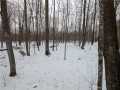 Rice Lake Residential Real Estate