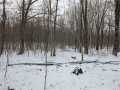 Rice Lake Residential Real Estate