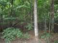 Birchwood Residential Real Estate