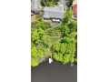 Altoona Residential Real Estate