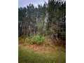 Chippewa Falls Land Real Estate