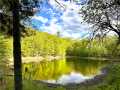 Stone Lake Residential Real Estate