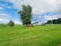 Thorp Residential Real Estate