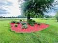 Thorp Residential Real Estate