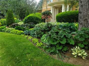 Property Photo 56
