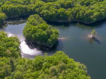 Property Photo 44