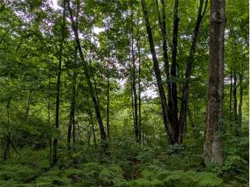 Property Photo 48