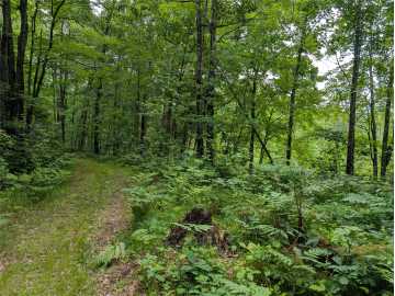 Property Photo 50