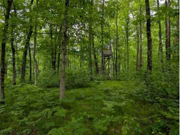 Property Photo 51