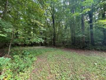 Property Photo 38