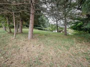 Property Photo 54
