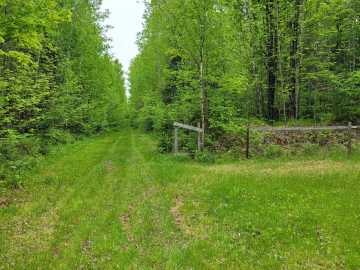 Property Photo 59