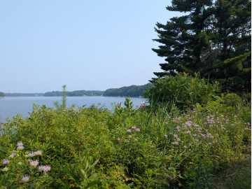 Property Photo 51