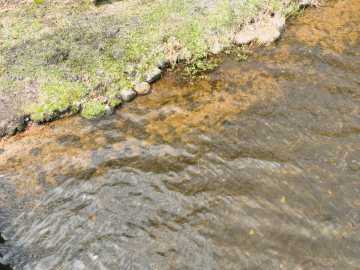 Property Photo 66