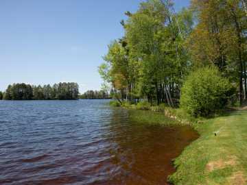 Property Photo 59