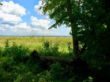 Property Photo 24