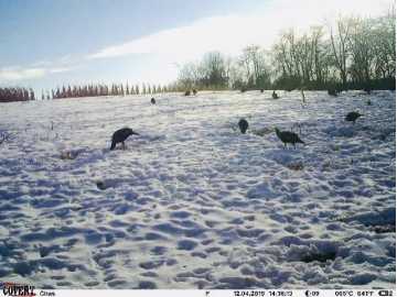 Property Photo 51
