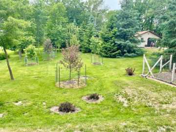 Property Photo 84