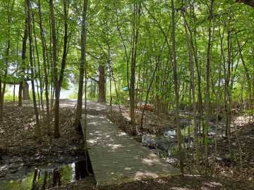 Property Photo 51