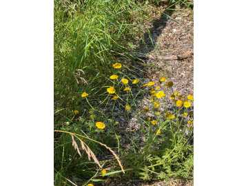 Property Photo 111