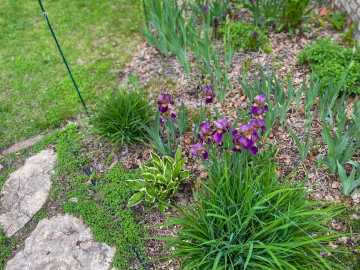 Property Photo 50