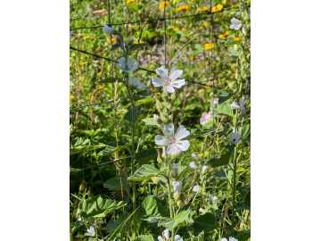 Property Photo 56