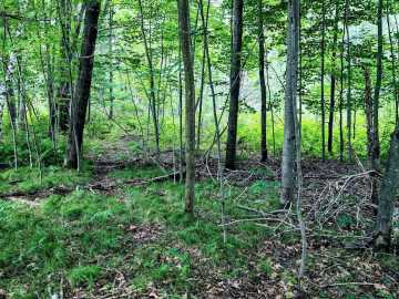 Property Photo 27