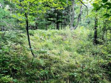Property Photo 29
