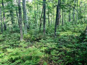 Property Photo 41