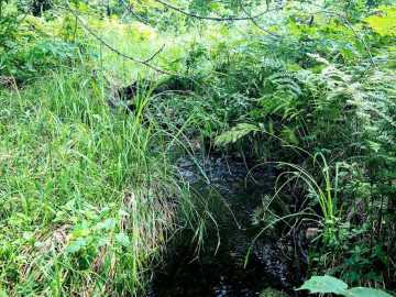 Property Photo 44