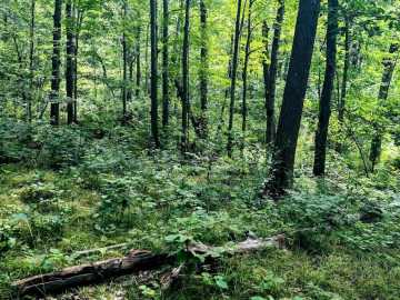 Property Photo 45