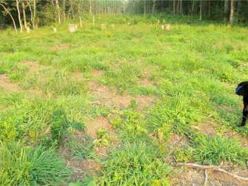 Property Photo 41