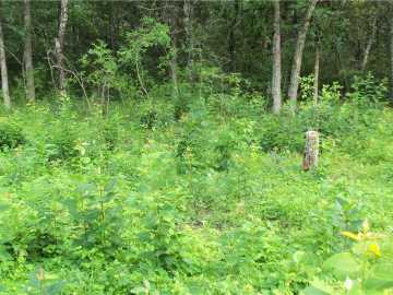 Property Photo 45